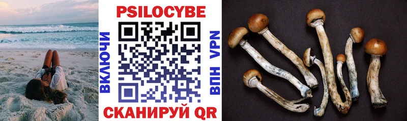 Псилоцибиновые грибы Psilocybe  Ростов-на-Дону 